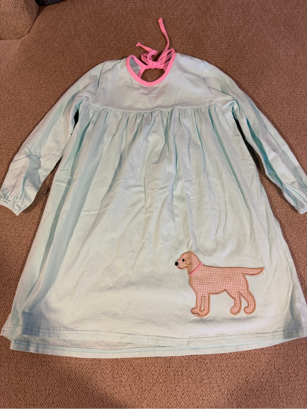 Light Blue Girls Long Sleeve Dress with Dog Appliqué